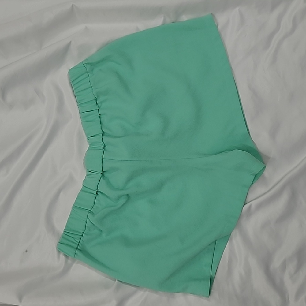 Mossimo Mint Shorts - Picture 3 of 3